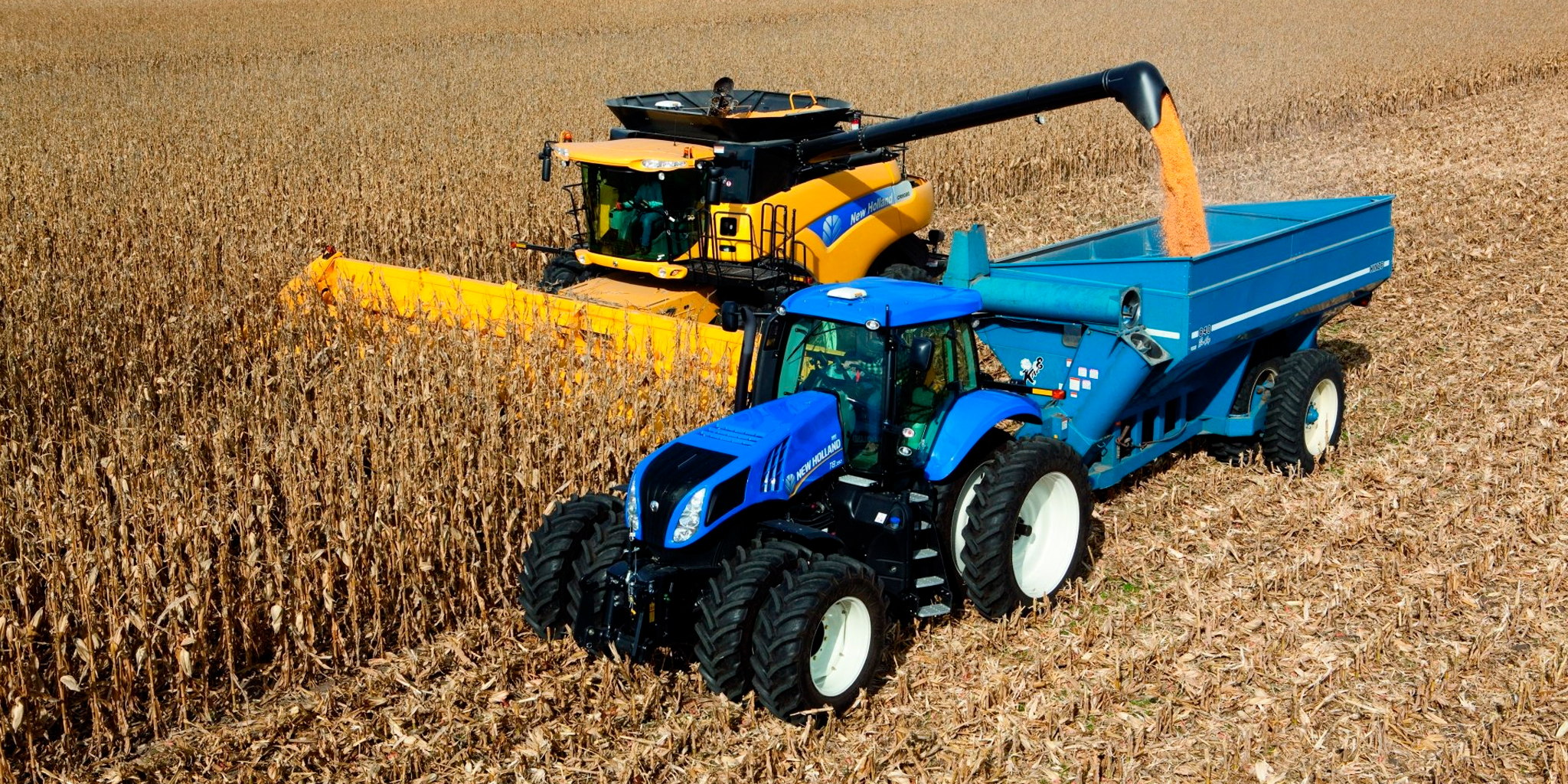 Oficina especializada em