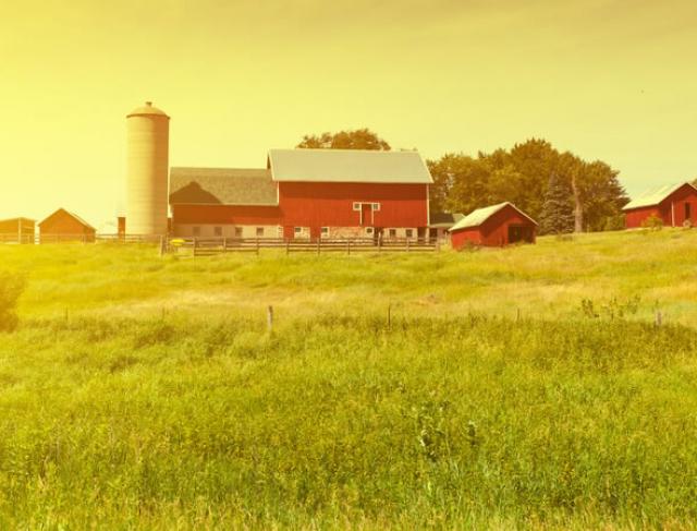 Assistência em Fazendas