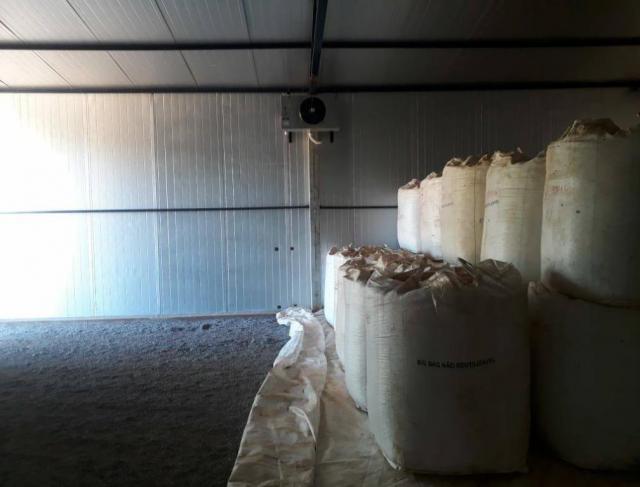 Climatização de Sementes em Apiacás - MT