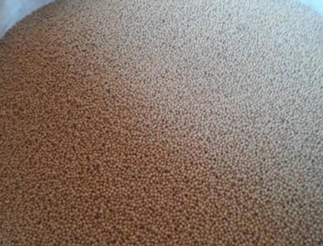 Climatização de Sementes 