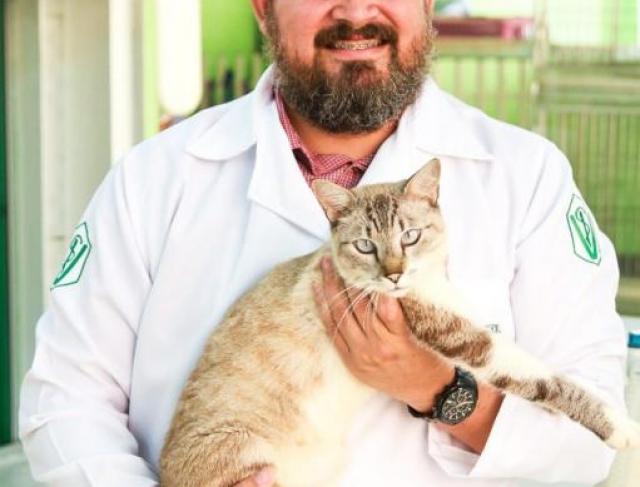 Dr. Gleibson